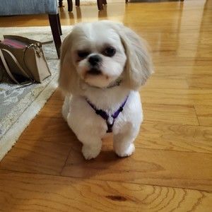 Meet your Posher, Angela